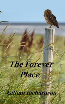 the forever place (ebook)-gillian richardson-9781777287283