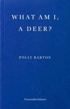 what am i, a deer? (ebook)-polly barton-9781804272183