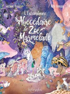 l'extraordinaire abecedaire de zoe marmelade (ebook)-guillaume bianco-9782302076983