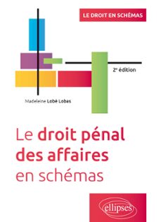 le droit penal des affaires en schemas (ebook)-9782340076983