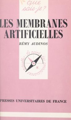 -rémy audinos-9782705946883