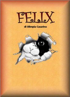 felix (ebook)-9786050342383