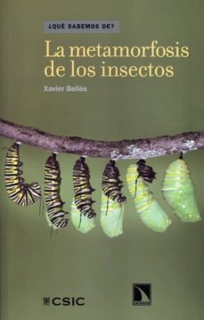 la metamorfosis de los insectos-xavier belles i ros-9788400090883
