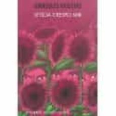 girasoles violetas-9788412428483