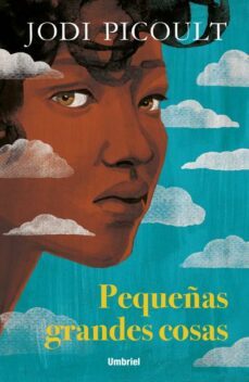 pequeñas grandes cosas-jodi picoult-9788416517183