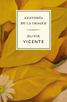 anatomia de la imagen-olivia vicente-9788419243683
