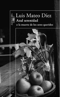 azul serenidad o la muerte de los seres queridos (ebook)-luis mateo diez-9788410496415