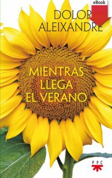 mientras llega el verano (ebook)-dolores aleixandre parra-9788428830683