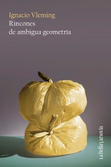 rincones de ambigua geometria (ebook)-ignacio vleming-9788433947383