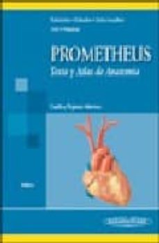 prometheus: texto y atlas de anatomia (t. 2): cuello y organos in ternos-michael schunke-erik schulte-udo schumacher-9788479039783