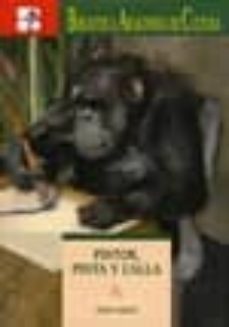 pintor, pinta y calla-pepe cerda-9788483242483
