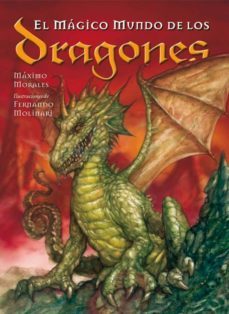 el magico mundo de los dragones-9788495973283