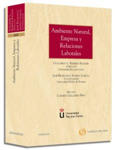 ambiente natural empresa y relaciones laborales-guillermo barrios-9788499032283