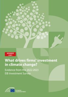 what drives firms' investment in climate action? (ebook)-9789286155383