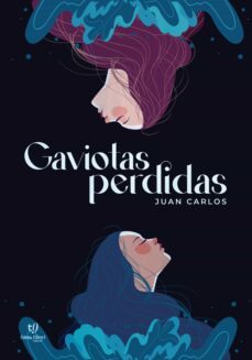 gaviotas perdidas (ebook)-juan carlos manzano-9789878178783