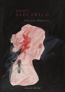 riesgo electrico-adriana bañares-9791399015683