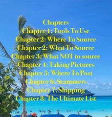 reseller’s blueprint: unleashing profits in the resale market (ebook)-raven uchtman-9798224551583