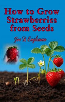 -joe r eagleman-9798235250383