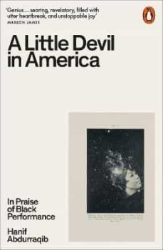 a little devil in america: in praise of black performance-9780141995793