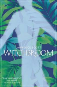 witchbroom (ebook)-lawrence scott-9780993108693