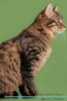 kurilian bobtail affirmations workbook kurilian bobtail presents-9781526970893