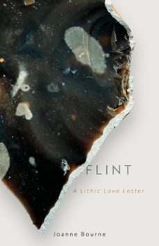 flint (ebook)-9781785634093