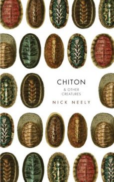 Imagen Principal de CHITON & OTHER CREATURES