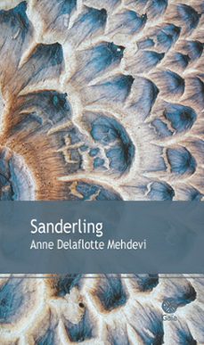 -anne delaflotte mehdevi-9782847203493
