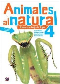 animales al natural 4: insectos bajo lupa-masae takaoka-9786071616593