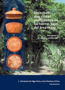 oxtankah: una ciudad prehispanica en las tierras bajas del area maya (ebook)-9786075397993