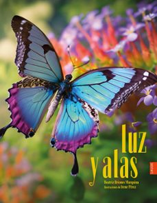 luz y alas-9788414056493