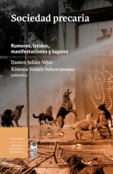 sociedad precaria (ebook)-9789560016393