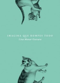 imagina que rompes todo (ebook)-lina munar guevara-9789585296893