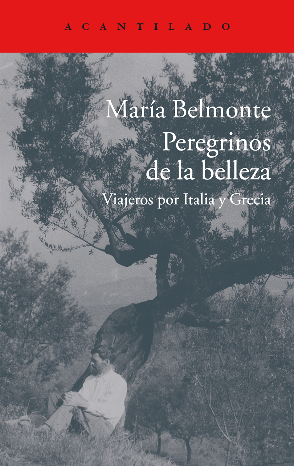 Peregrinos De La Belleza: Viajeros Por Italia Y Grecia por Maria Belmonte Barrenechea