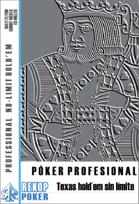 Poker Profesional: Texas Hold Em Sin Limite por Matt Flynn