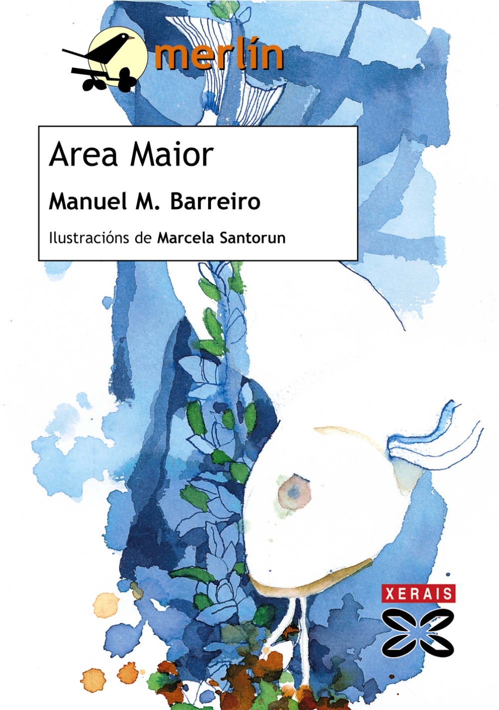 Area Maior por Manuel Martinez Barreiro