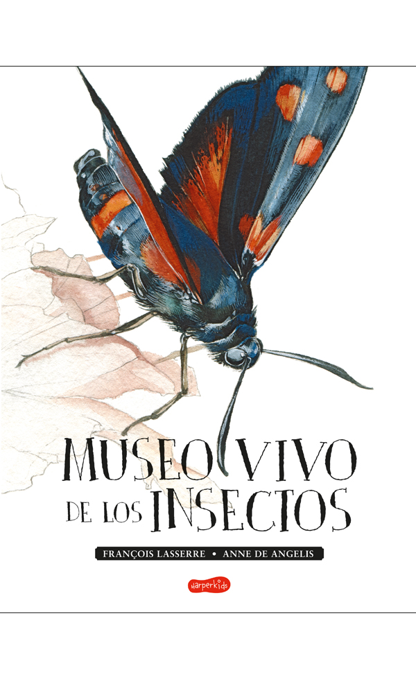 Museo Vivo De Los Insectos por François Lasserre;
Anne De Angelis
