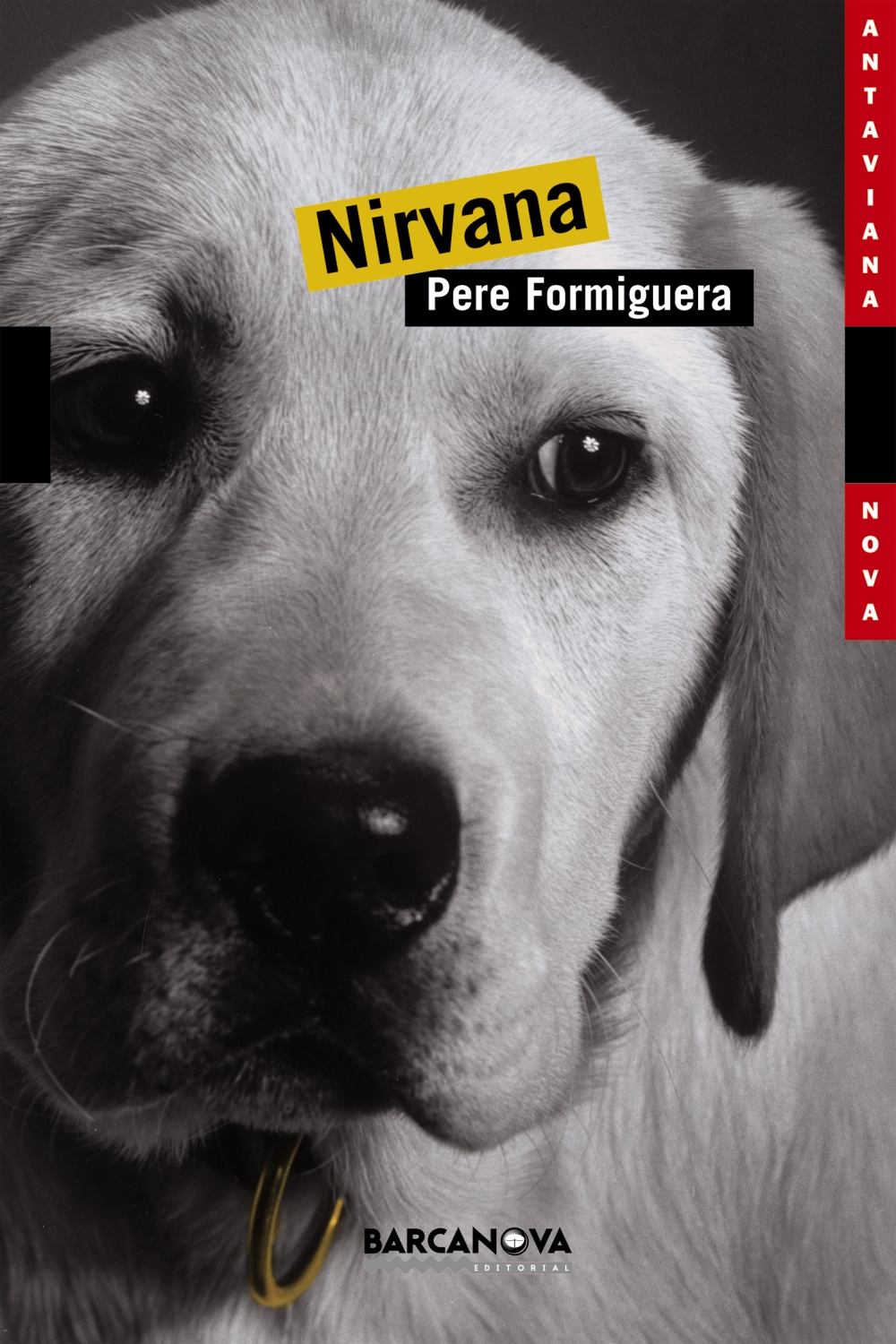 Nirvana por Pere Formiguera