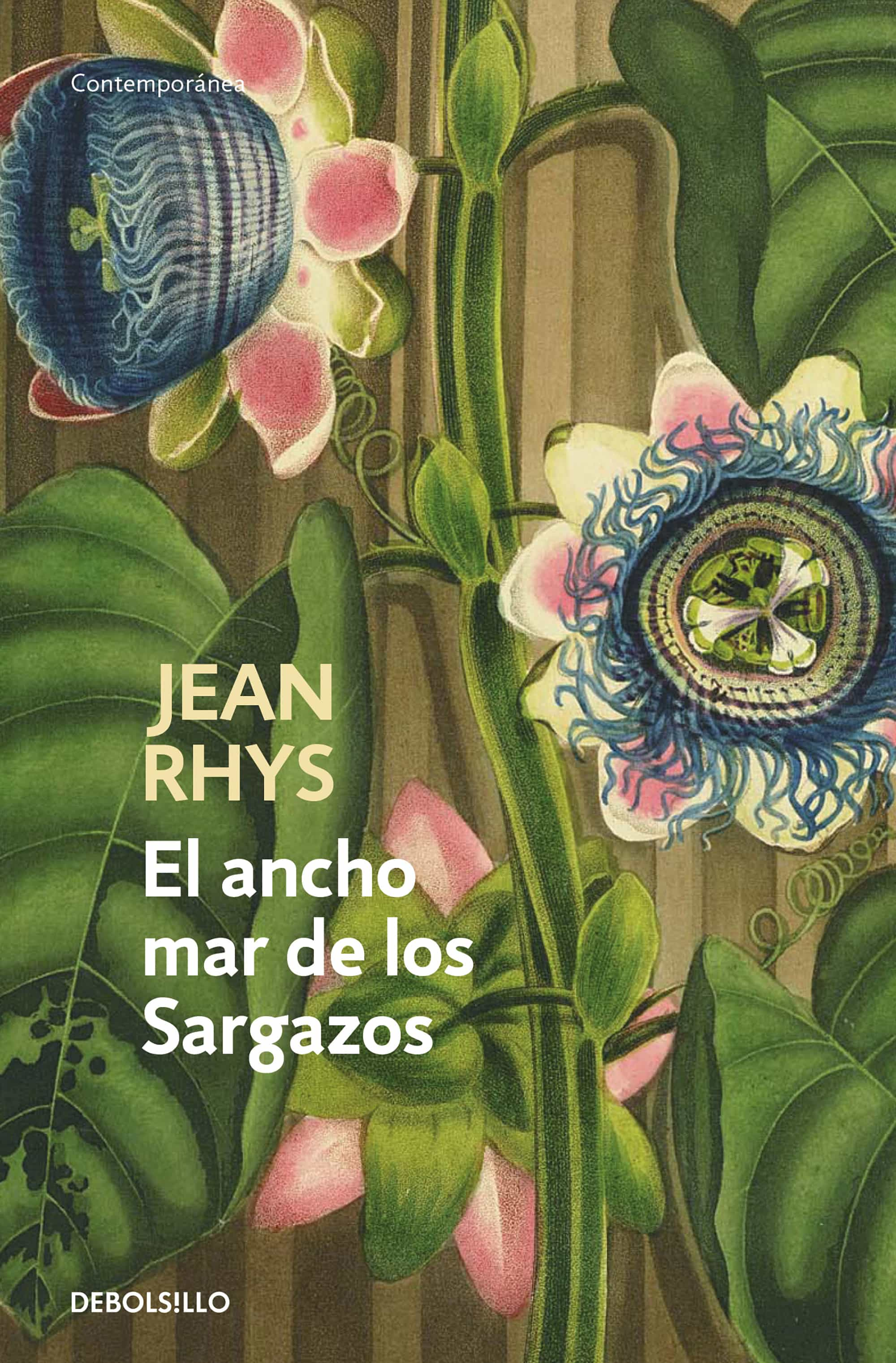 wide sargasso sea jean rhys ebook free