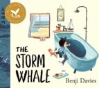 the storm whale-benji davies-9781398519633