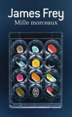mille morceaux -james frey-9782290117743 mille morceaux -james frey-9782290117743