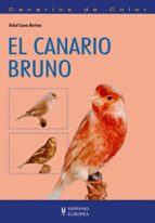 el canario bruno-rafael cuevas martinez-9788425517143 el canario bruno-rafael cuevas martinez-9788425517143