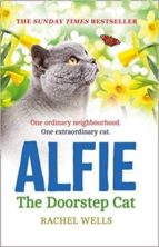 ALFIE THE DOORSTEP CAT
