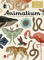 animalium-jenny broom-9788415979463 animalium-jenny broom-9788415979463