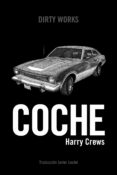 Coche-12817703-otro-formato