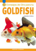 50 consejos de oro para tu goldfish-amanda o neill-9788425516603 50 consejos de oro para tu goldfish-amanda o neill-9788425516603