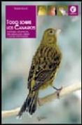 todo sobre los canarios-elisabetta gismondi-9788431536503 todo sobre los canarios-elisabetta gismondi-9788431536503