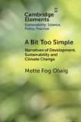 A BIT TOO SIMPLE-17515334-otro-formato