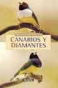 canarios y diamantes (pequeñas aves exoticas)-pierre gradoz-9788430539413 canarios y diamantes (pequeñas aves exoticas)-pierre gradoz-9788430539413