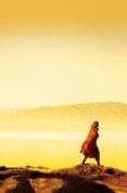 mil sols esplendids-khaled hosseini-9788499081113 mil sols esplendids-khaled hosseini-9788499081113